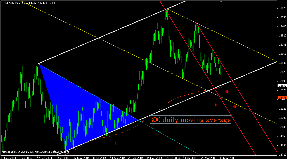 eurusd daily 16052005.gif